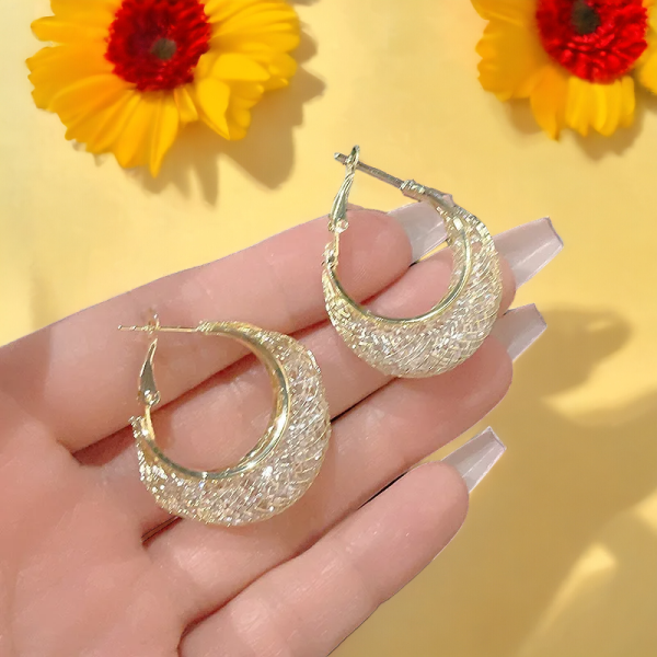 Elegant light luxury mesh zircon earrings for women