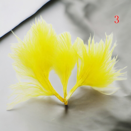 1PCS Assorted Natural Turkey Feathers for DIY Crafts"