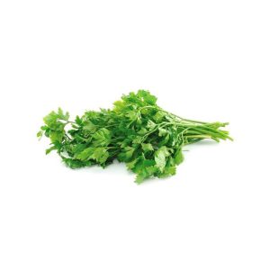 Organic Italian Parsley