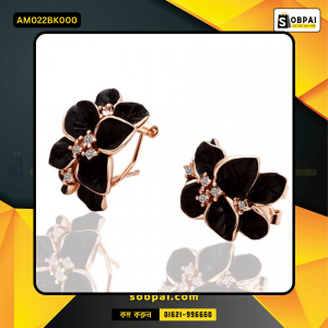 Stylish Crystal Stud Earrings for Women (Black)