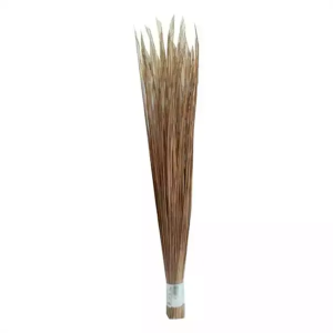 Broom (Sholar Jharu)