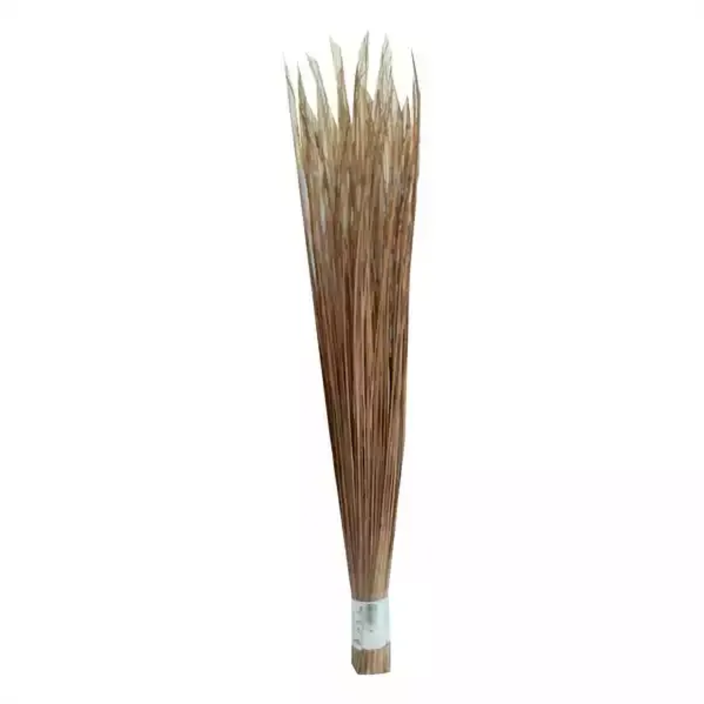 Broom (Sholar Jharu)