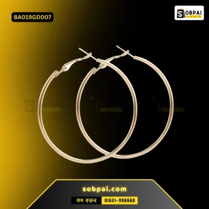 Big Circle Hoop Earrings for Women (Gold)