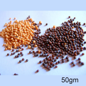 Mustard Seeds(Black,Yellow)