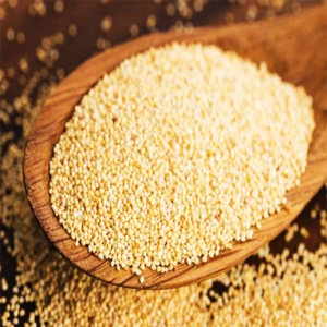 Poppy Seeds- Posto Dana