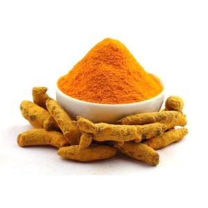 Radhuni Turmeric Powder Pet Jer