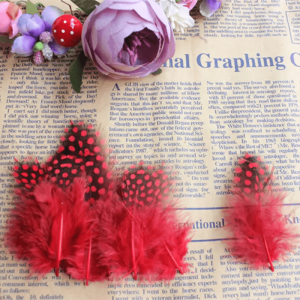 Guinea Fowl Spotted Feather Craft Chicken Feather Beautiful Gull Hair Extension Feathers for Home Decor Length 5-10cm