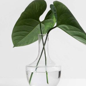 Lux Soap Bar Velvet Glow